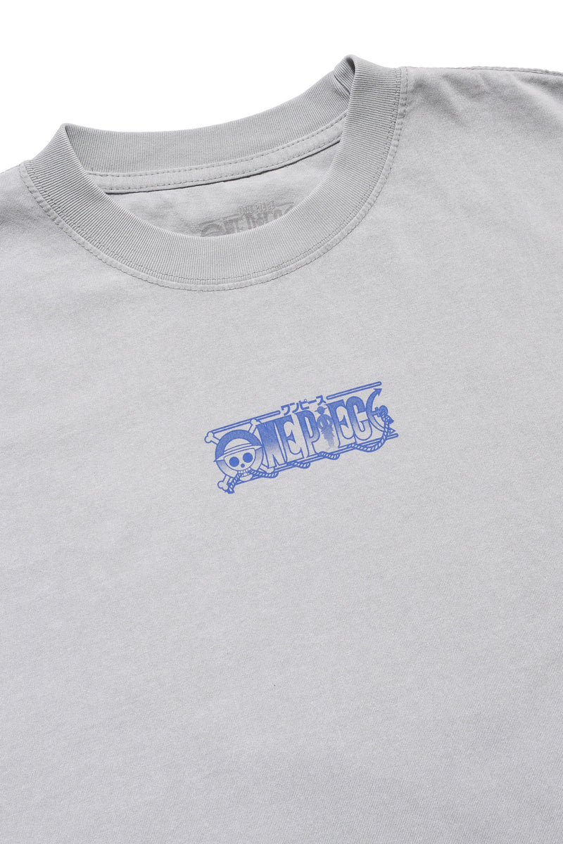 ONE PIECE Whale Story Tee - Vintage Grey – Shonen Jump Store