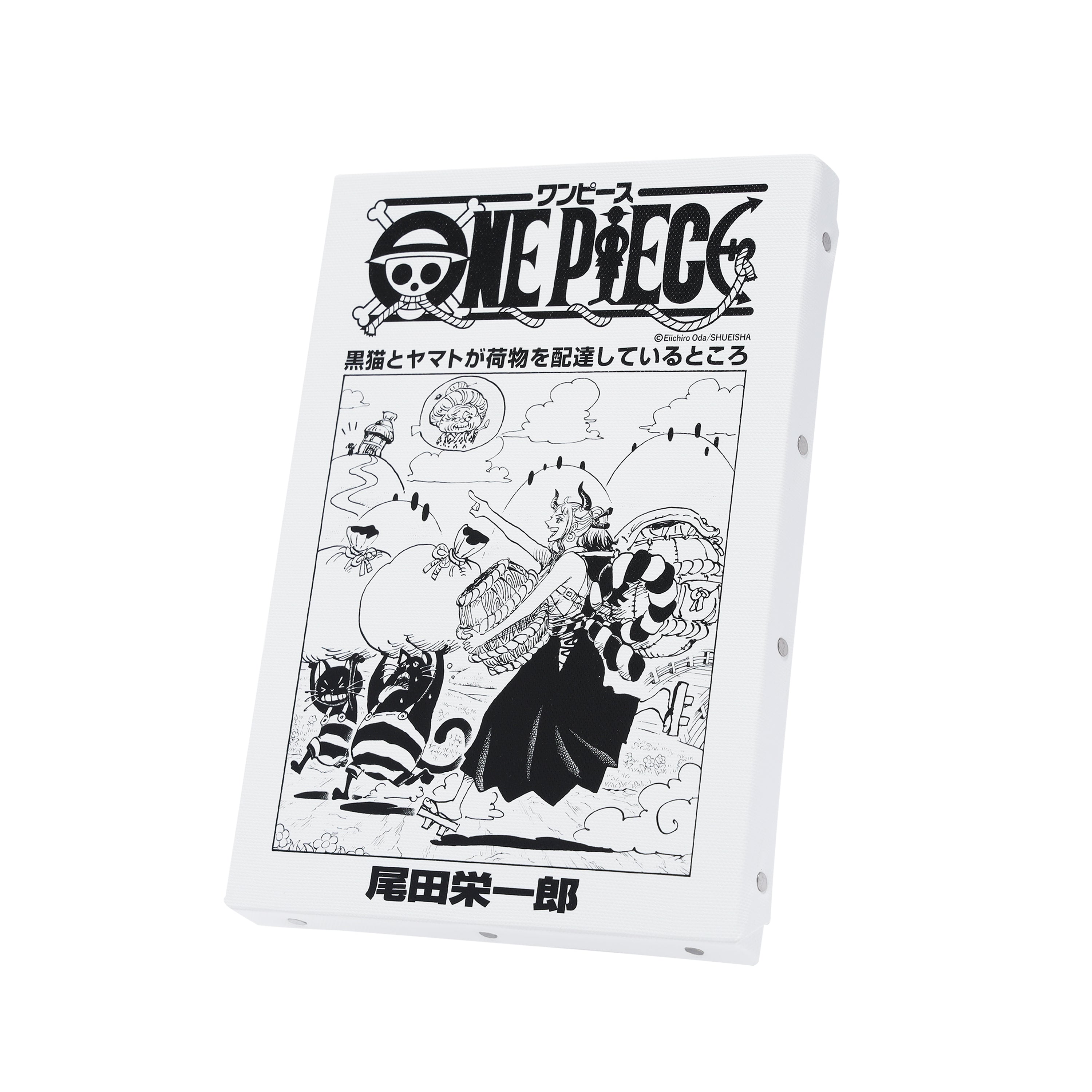 ONE PIECE – Shonen Jump Store